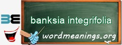 WordMeaning blackboard for banksia integrifolia